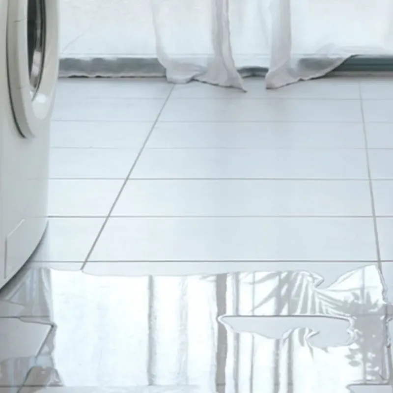 Appliance Leak Cleanup in Harper, TX