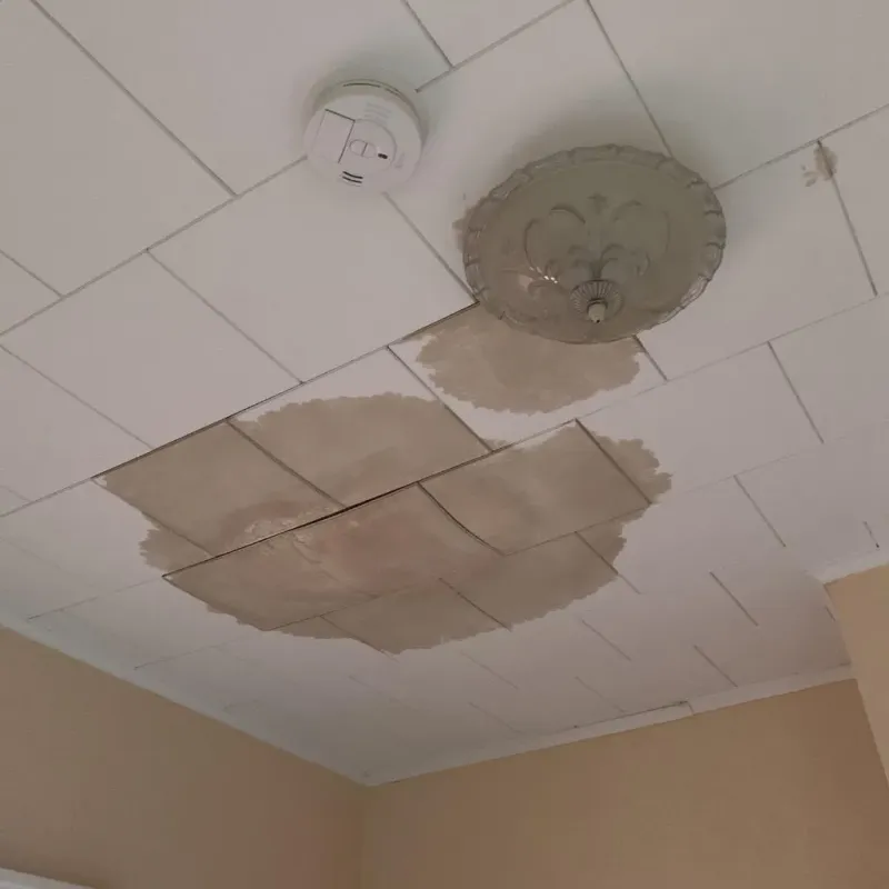 Ceiling Water Damage Repair in Harper, TX