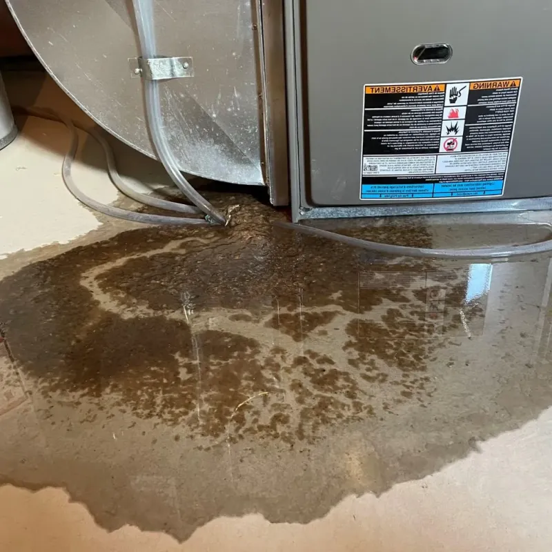 Pipe Burst and Leak Restoration in Harper, TX
