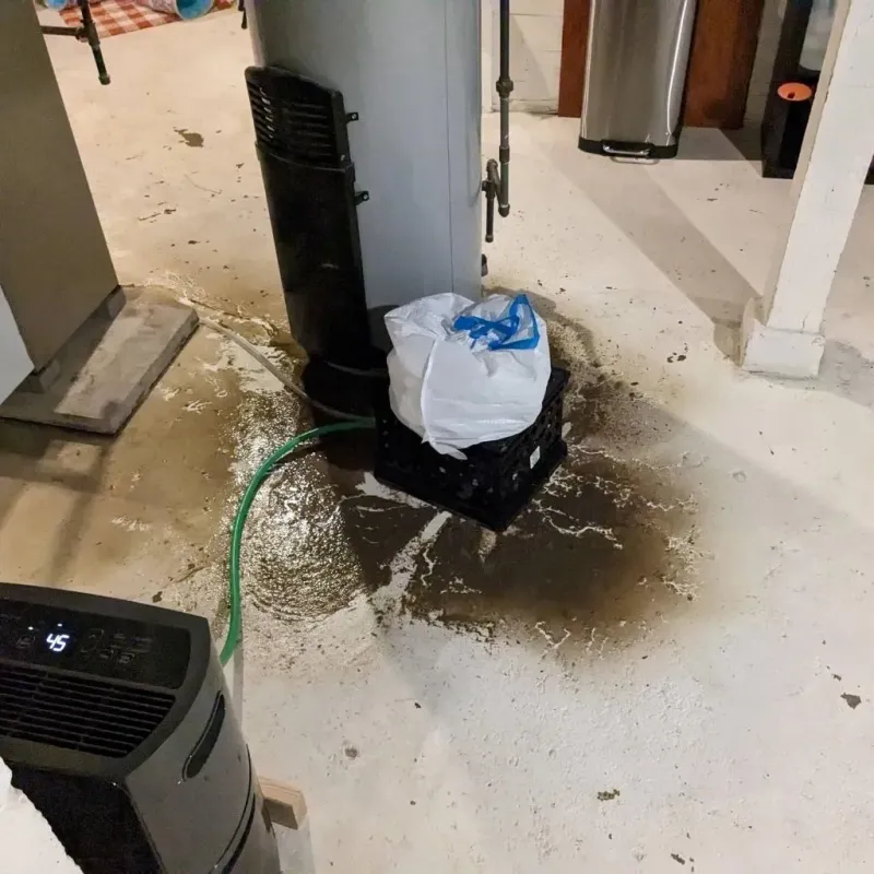 Sewage Backup Cleanup Service in Harper, TX